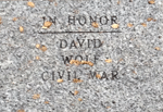 wolf-david